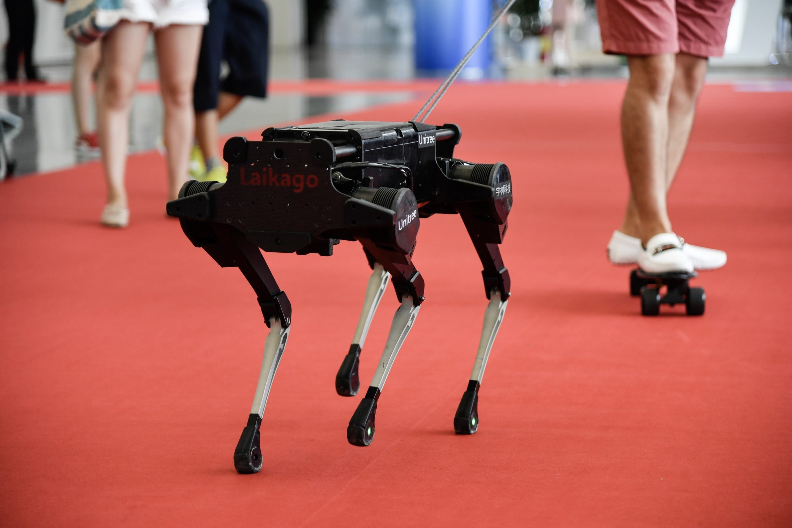 البنتاغون يدخل تكنولوجيا “مخيفة” للحروب.. كشف عن تعديل “روبوت” الكلاب الآلية ليحمل بندقية هجومية