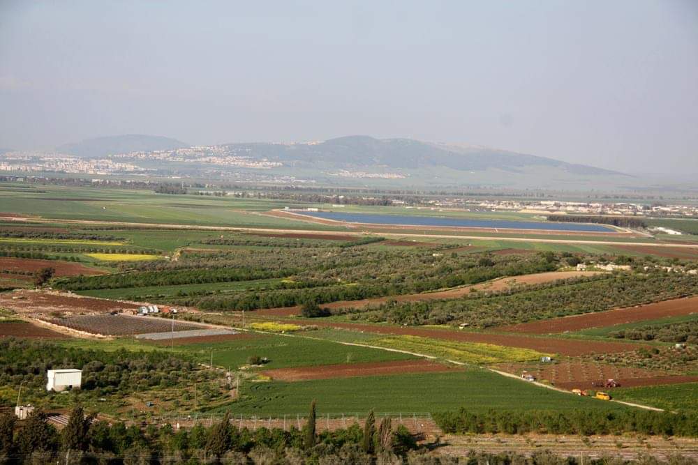 إسرائيل تتحرك لمنع الفلسطينيين من إعادة شراء أراضيهم المُحتلة في الجليل.. تل أبيب قلقة من تسارع ذلك