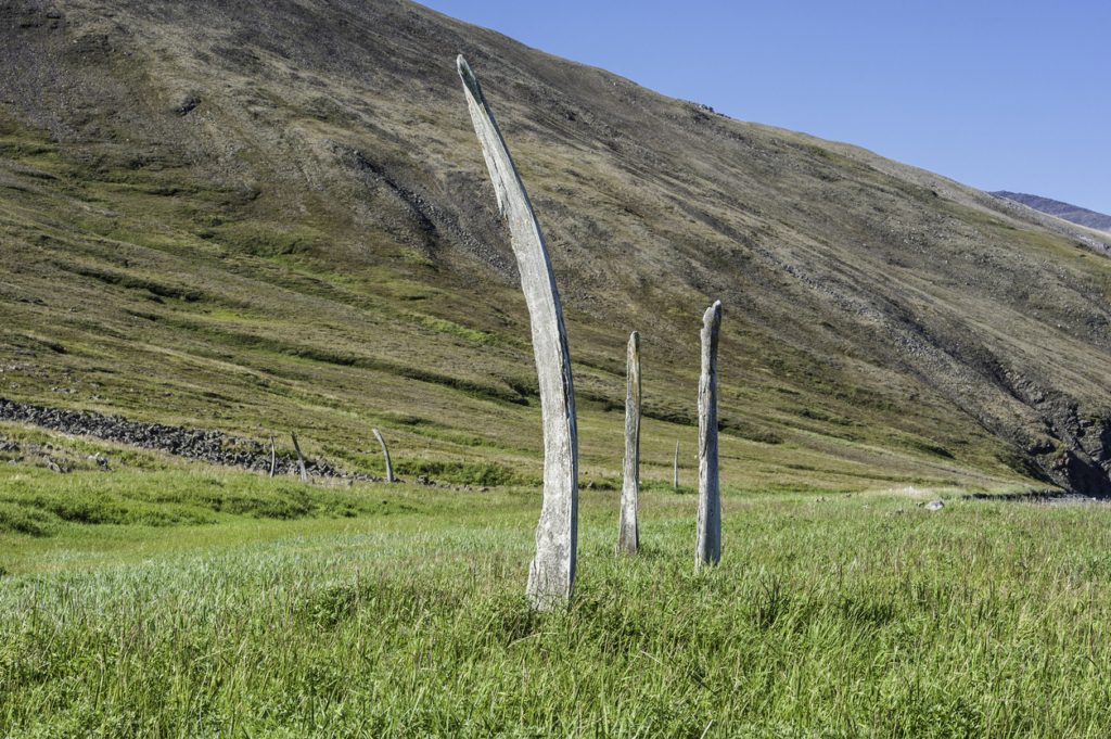 طريق عظام الحوت