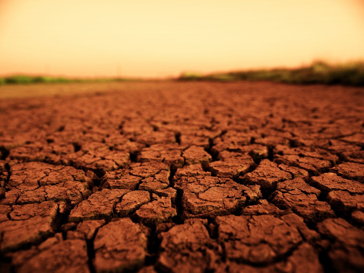 اكتشافات الحياة على كوكب المريخ