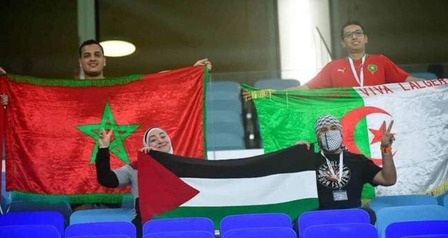 “الديربي المغاربي”.. هل تجمع الرياضة المغرب والجزائر بعدما فرقتهما السياسة؟