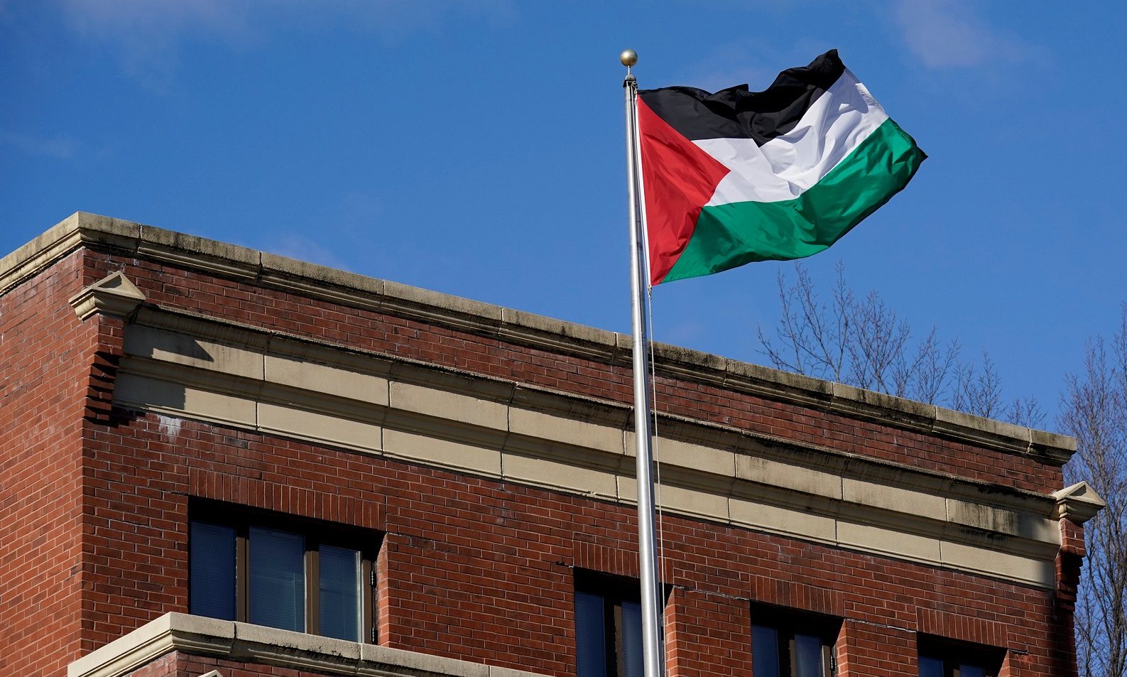 منظمة التحرير