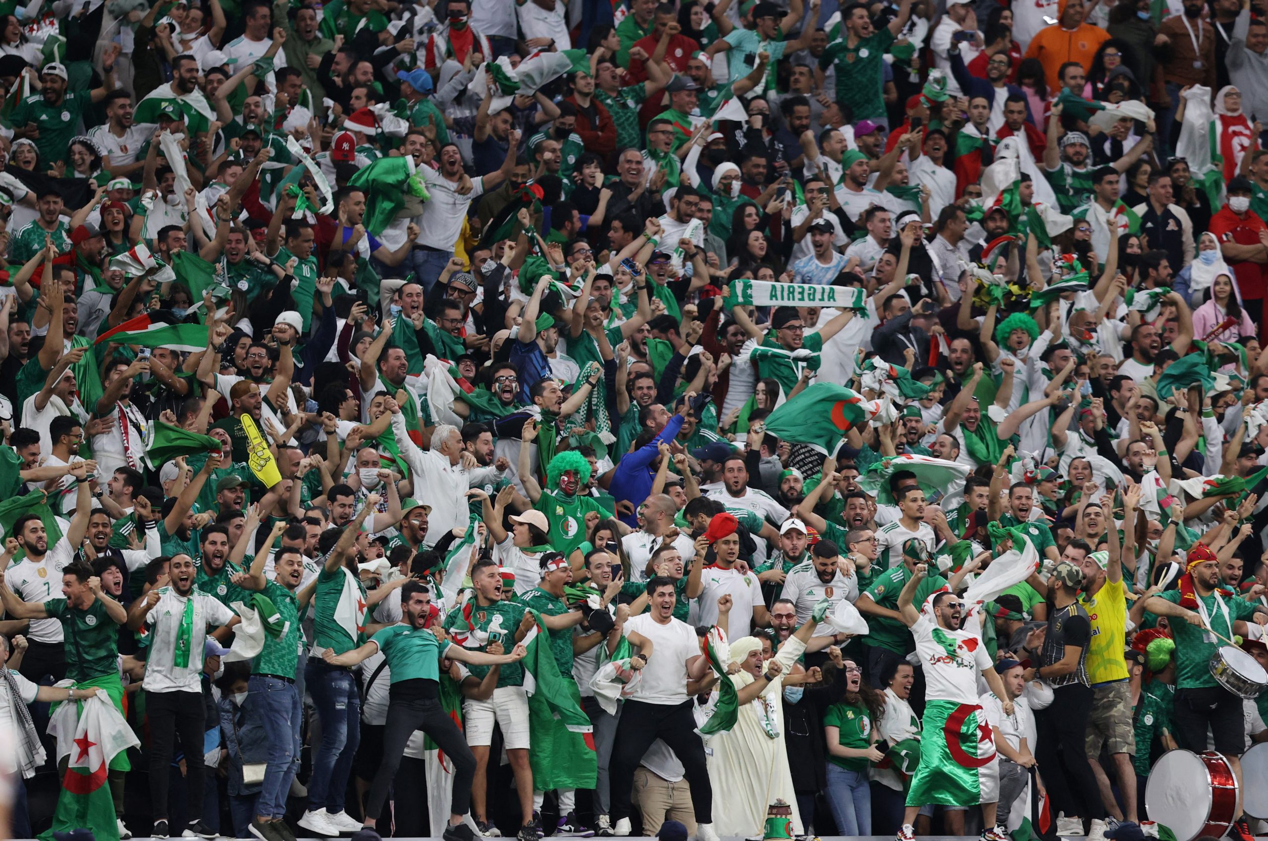 الجزائر كأس العالم 2022 المنتخب الجزائري