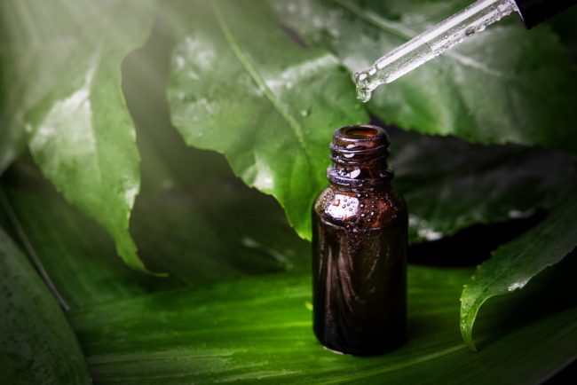 مضاد للالتهابات ويعالج حب الشباب ومشاكل اللثة.. 6 فوائد لاستخدام زيت شجرة الشاي