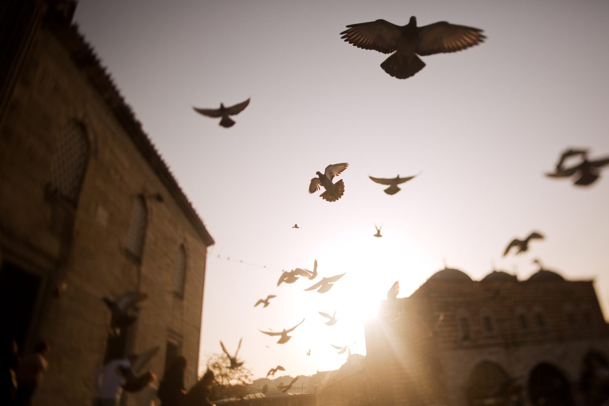 نظرة نقدية لموقف الليبرالية من الدين/ Istock