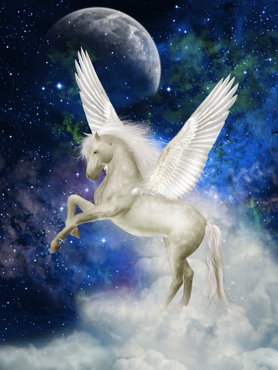 بيغاسوس\ iStock