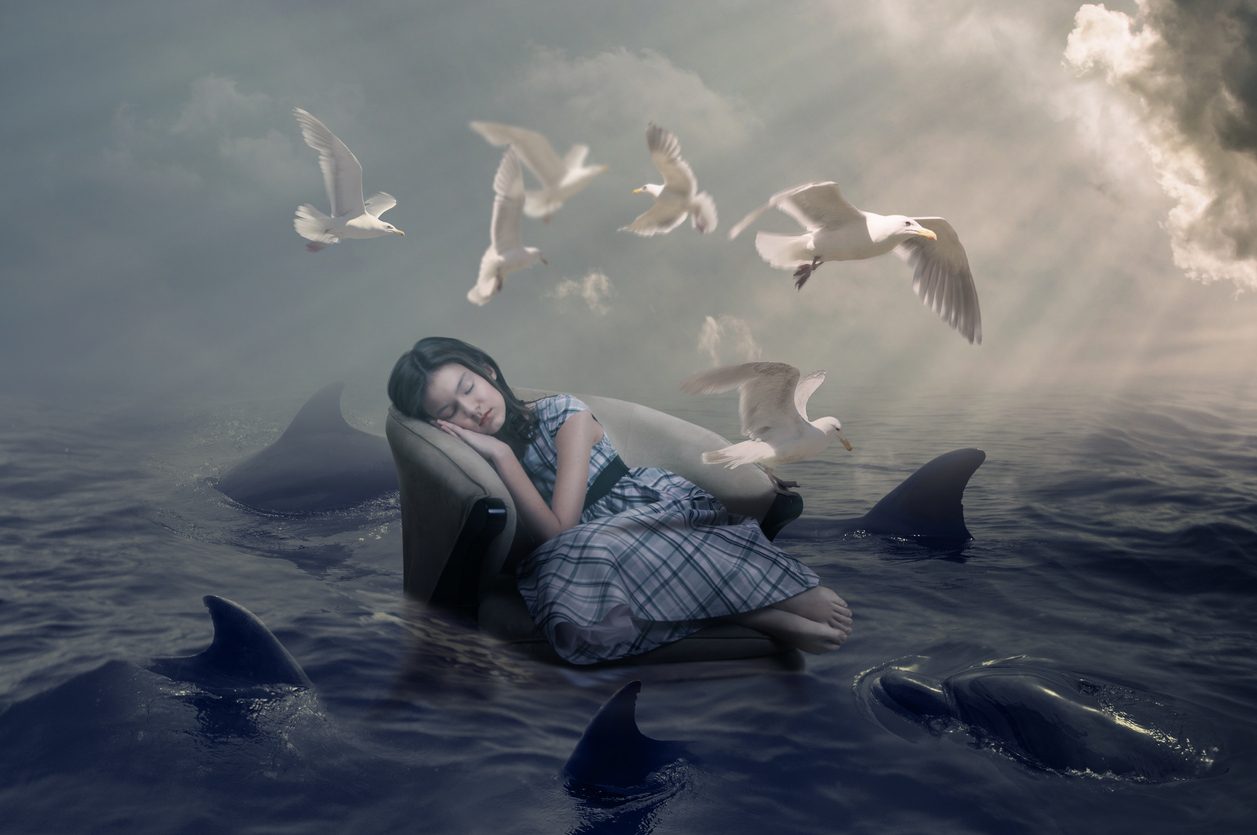 نمط نوم الدلافين