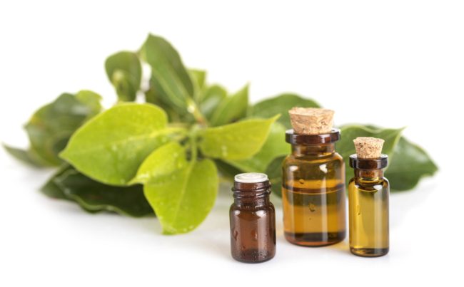 نعم مفيدة، لكن وضعها على رأسك سيكون مدمراً.. لا تضعي هذه الزيوت على شعرك أبداً