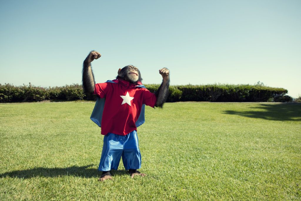 حيوانات بطلة