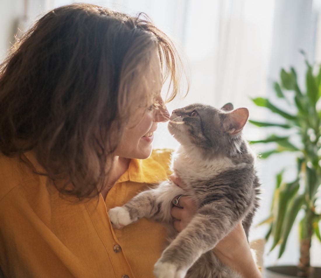 لماذا تعض القطط؟ \ iStock
