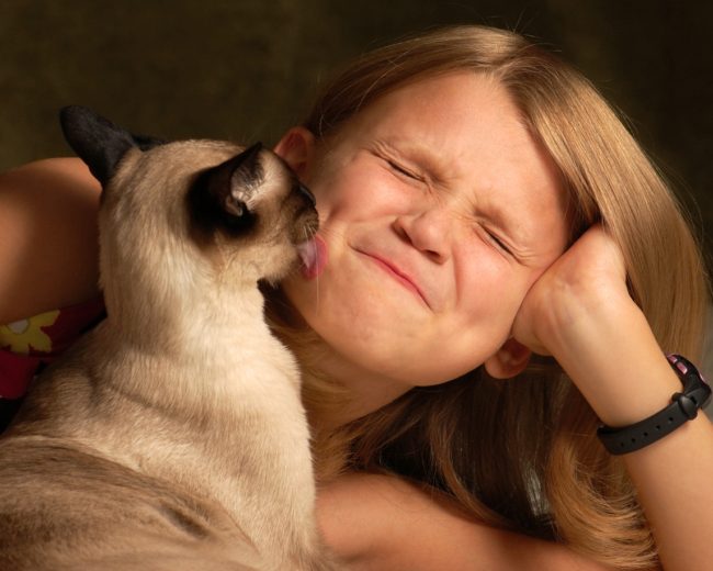 عندما تحك ألسنتها الصغيرة الخشنة على جلدك قد تتساءل: لماذا تلعقنا القطط؟