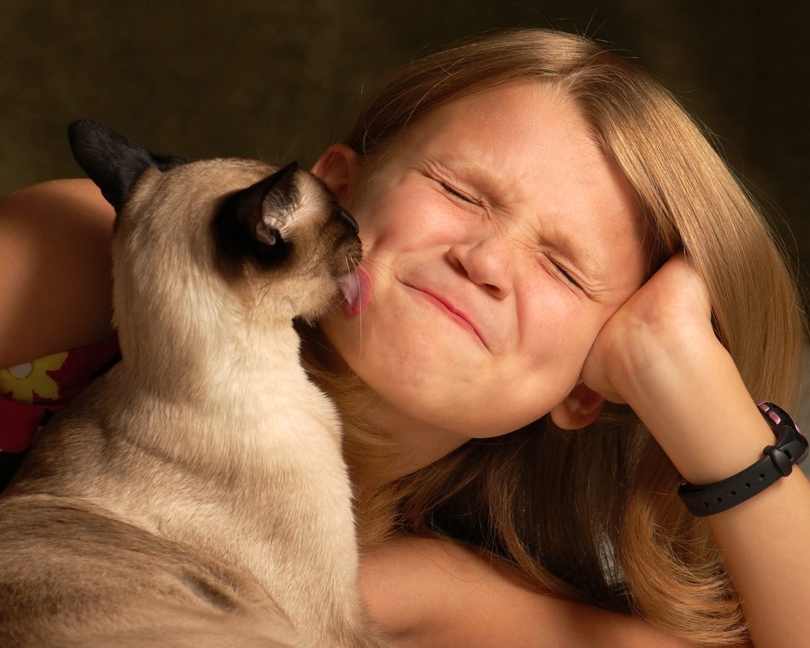 لماذا تلعقنا القطط؟