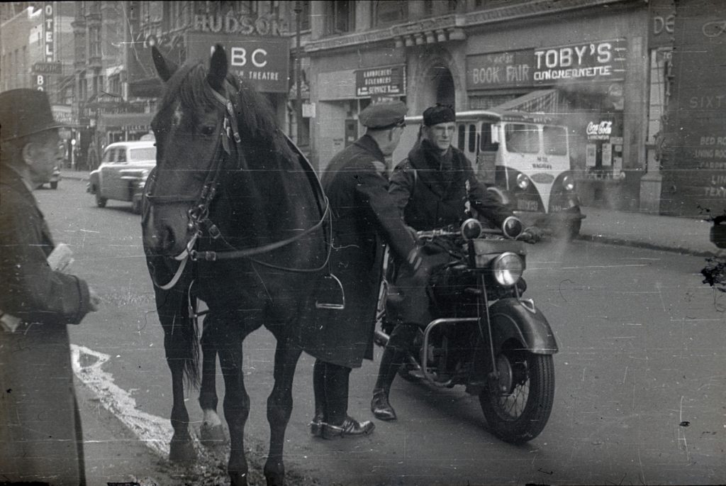 iStock/ قوة الحصان