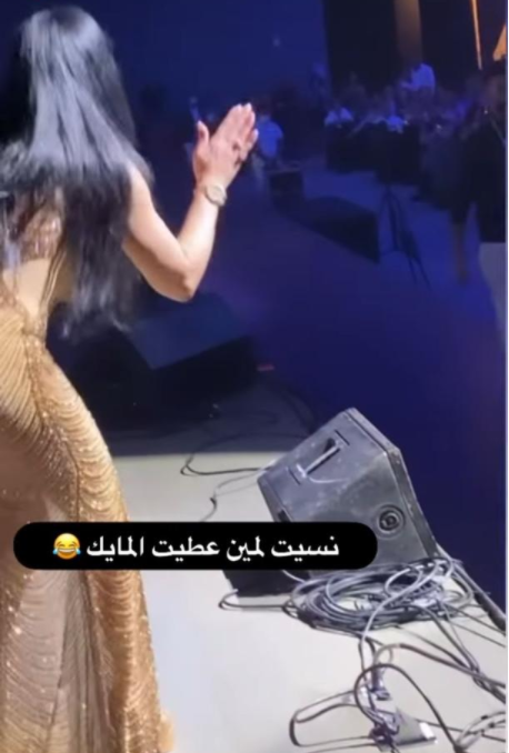 Instagram/ الحماسة الزائدة تسببت بنسيان هيفاء وهبي المايك