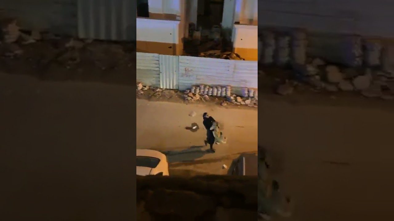 فتاة كويتية تقبض على “أسد” أثار رعباً بين المواطنين.. سيطرت عليه بكل سهولة! (فيديو)