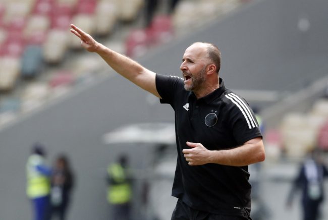 بلماضي يسابق الزمن لتعويض “انتكاسة الكان”.. تفاصيل تغييرات مرتقبة في منتخب الجزائر قبل إقصائيات كأس العالم