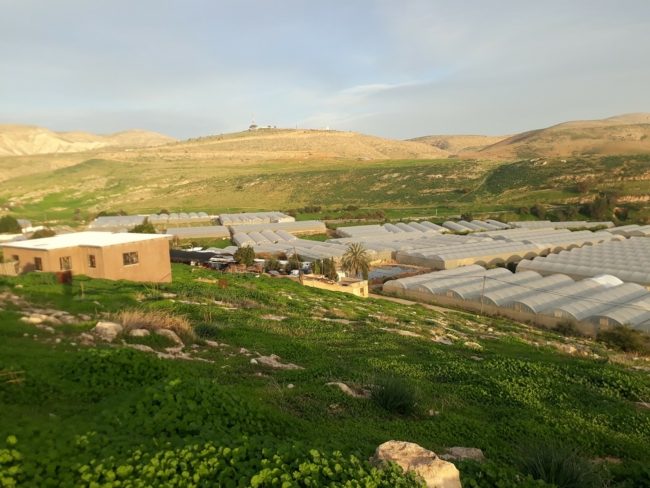 سيطرة إسرائيل على موارد المياه تقتل القرى الفلسطينية عطشاً.. تسرق ماءهم وتدفعهم لاستخدام آخر ملوث!