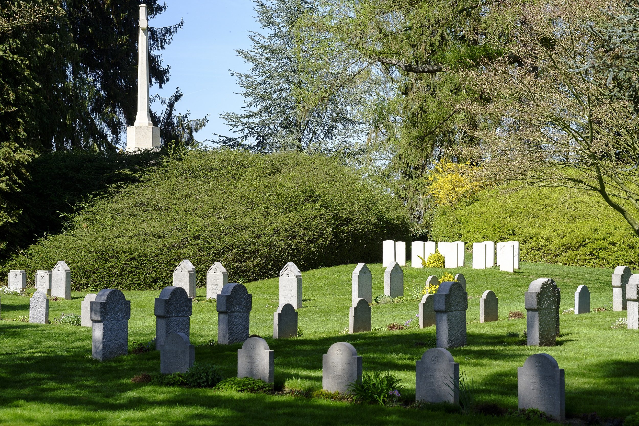 أستراليا سرقة رأسين بشريين مقبرة