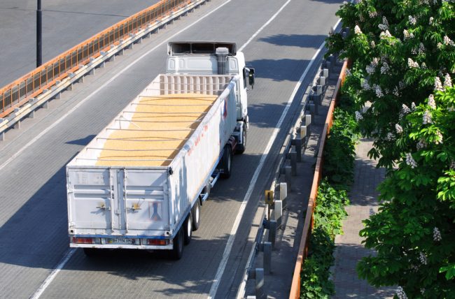 كيف يمكن أن يسبب الصراع الروسي الأوكراني مجاعة في الشرق الأوسط؟