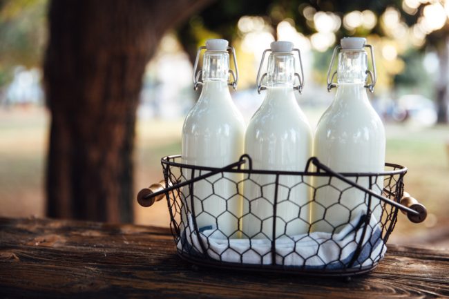 هل تحتار عند شرائك الحليب؟ كل ما تحتاجه للتفرقة بين الطازج منه وطويل الأمد ونسبة الدسم