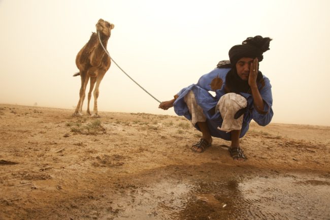 كيف يمكن أن تتأثر البادية والفلاحة المغربية بأزمة الجفاف التي تهدد البلاد؟