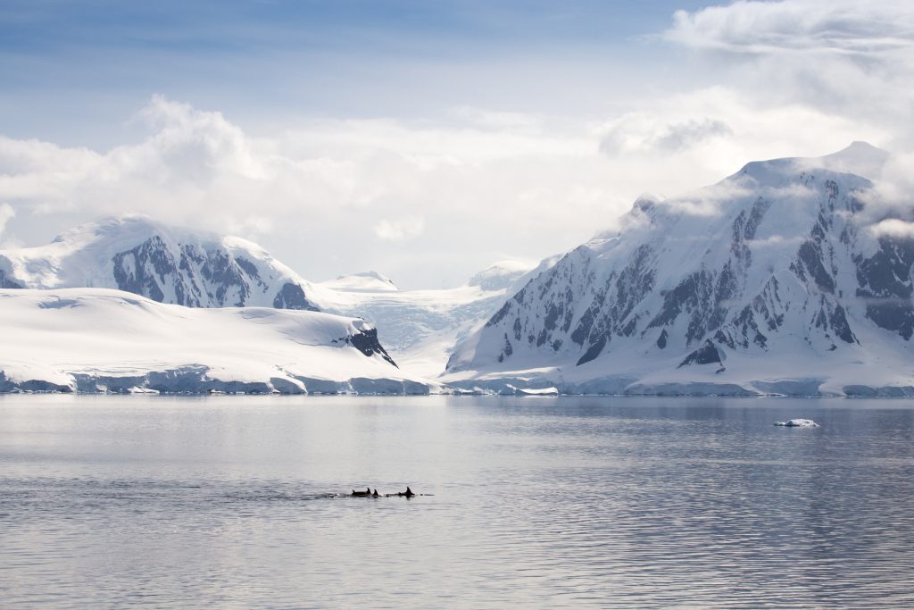 القطب الجنوبي انفصال جليدي