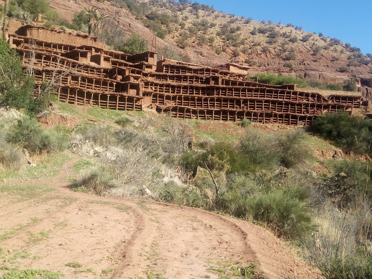 أقدم مزرعة لتربية النحل بالعالم