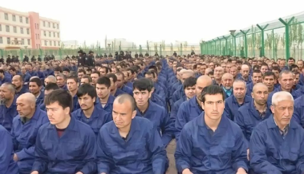 الإيغور المسلمين الصين ألمانيا
