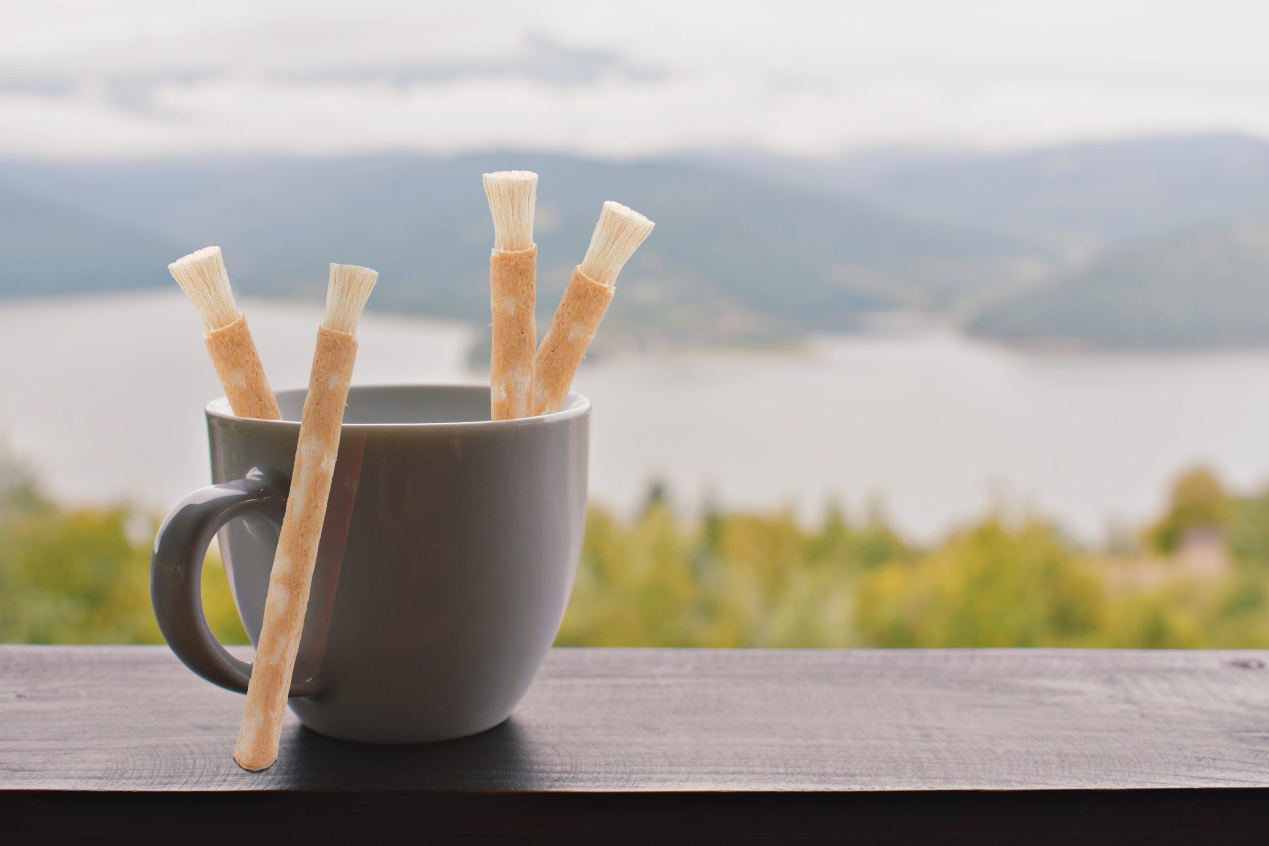 مضاد للبكتيريا ويمنع التسوس والتهابات اللثة.. تعرَّف على فوائد المسواك التي أثبتتها الدراسات العلمية