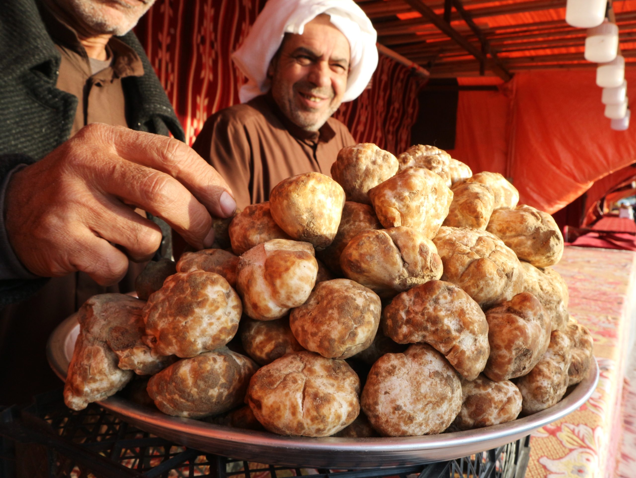 Shutterstock/ الكمأة.. هديّة البرق للإنسان