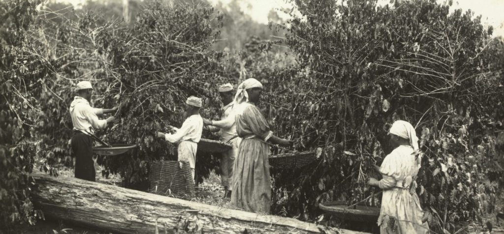 كيف أسهمت القهوة في تغيير العالم؟