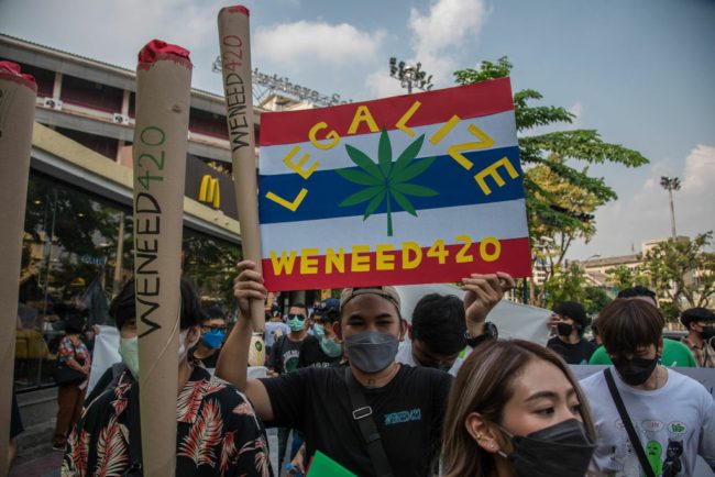 دولة توزّع مليون نبتة قنب مجانية! تشجع مواطنيها على استخدامه بشروط