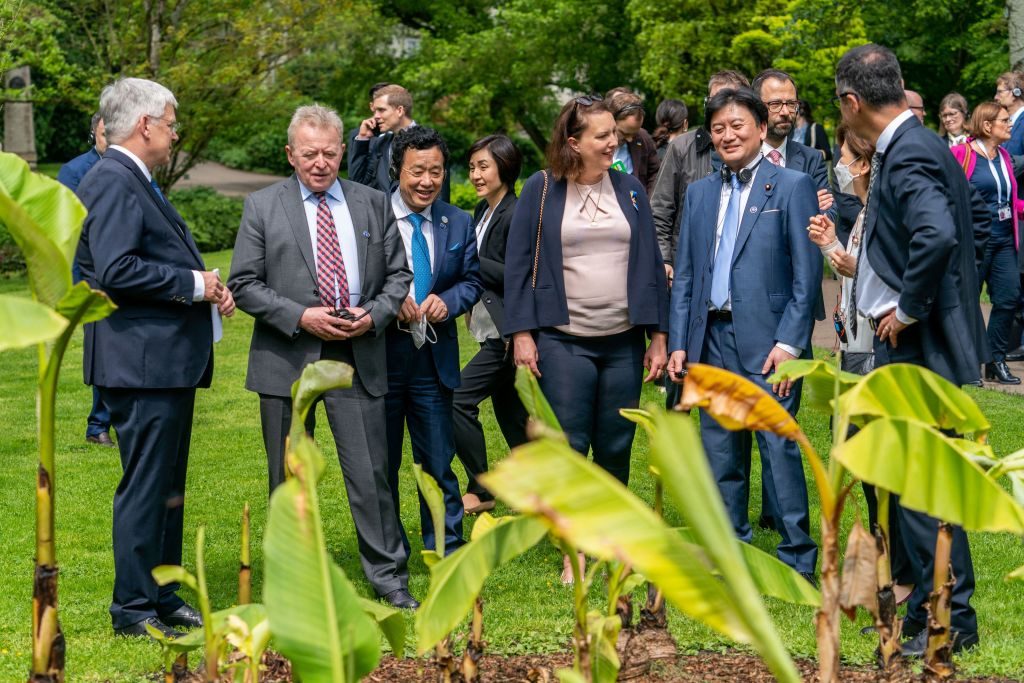 الدول السبع