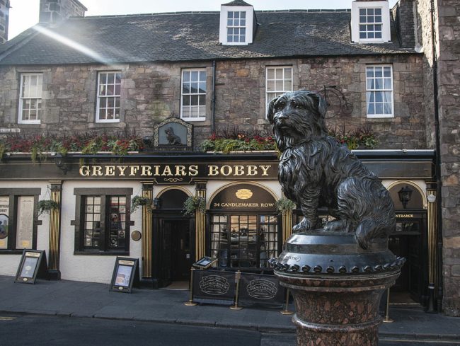 مات صاحبه، فبَقيَ حارساً على قبره طيلة 14 عاماً! قصة غريفريارس بوبي، الكلب الأكثر وفاءً في التاريخ