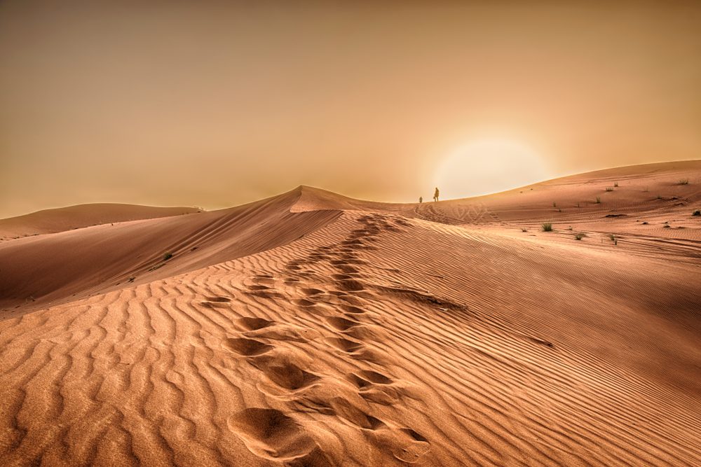 بيدي لا بيد عمرو \ shutterstock
