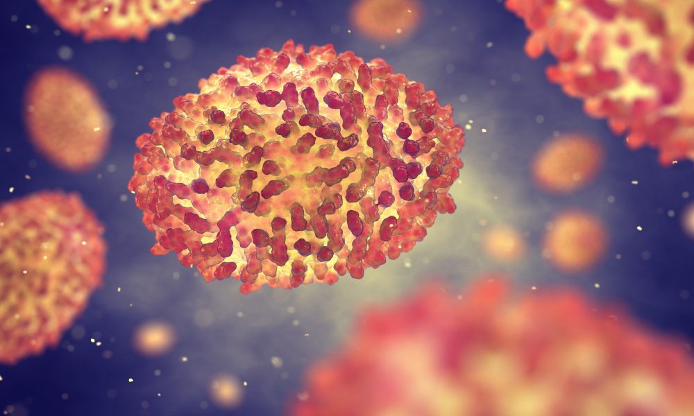 تضم أعراضه الحمى والصداع والطفح الجلدي.. أمريكا تشتري ملايين لقاحات جدري القردة بعد تأكيد ظهوره لديها