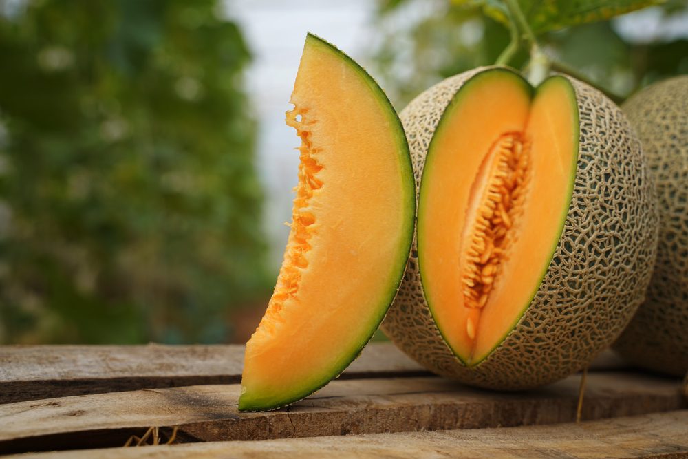 فوائد الشمام\ shutterstock