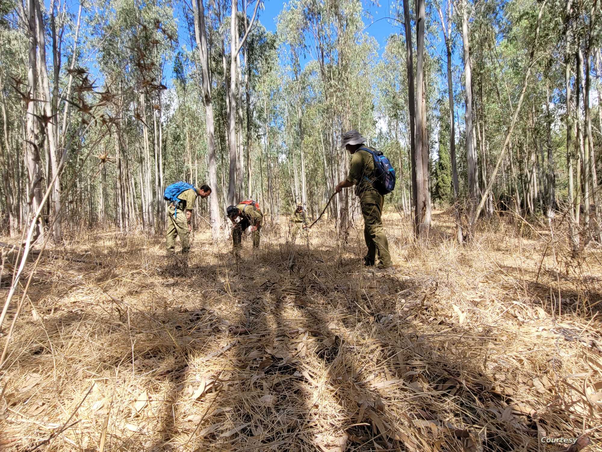 وحدة ميرعول