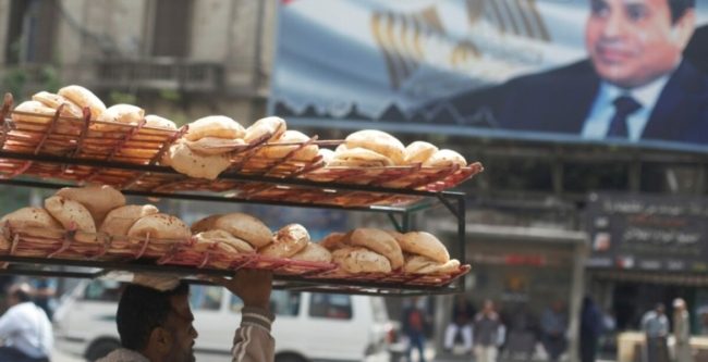 مصر بين فكَّي كماشة روسيا والهند بسبب القمح.. هذا ما تفعله لمواجهة انخفاض الإمدادات في الحبوب