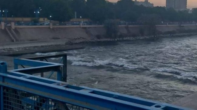 تركت رسالة وداع لزوجها النائم ورحلت! أم مصرية تنتحر مع أبنائها الثلاثة وهذه آخر كلماتها