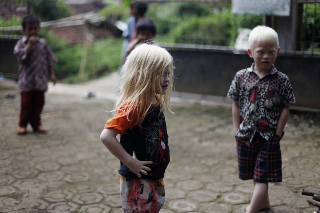 أخ تعاون مع 4 على قتل شقيقه لبيع أجزاء جسده لهذا السبب! مثلوا بالجثة وأحرقوها، فحوكموا بالسجن المؤبد