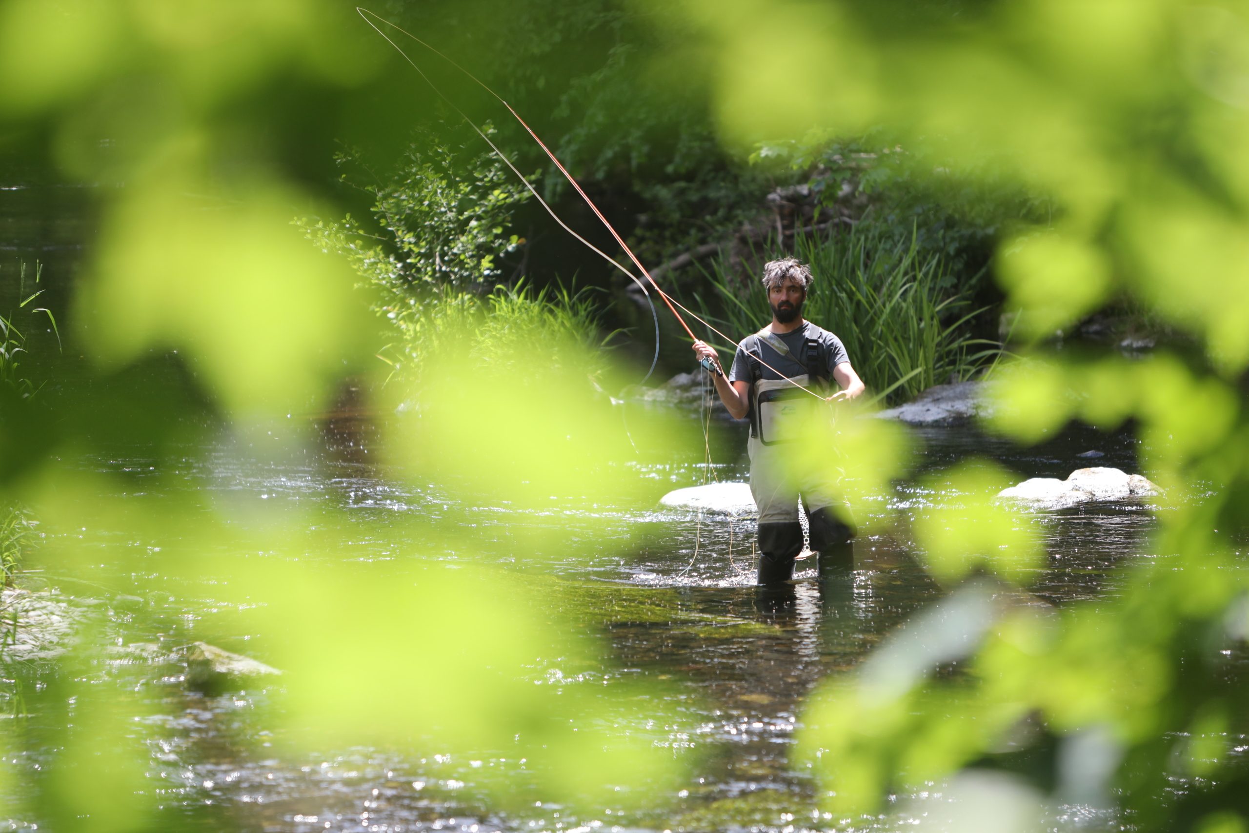 اصطياد أكبر سمكة مياه عذبة على الإطلاق.. تزن نحو 300 كيلوغرام وطولها 4 أمتار