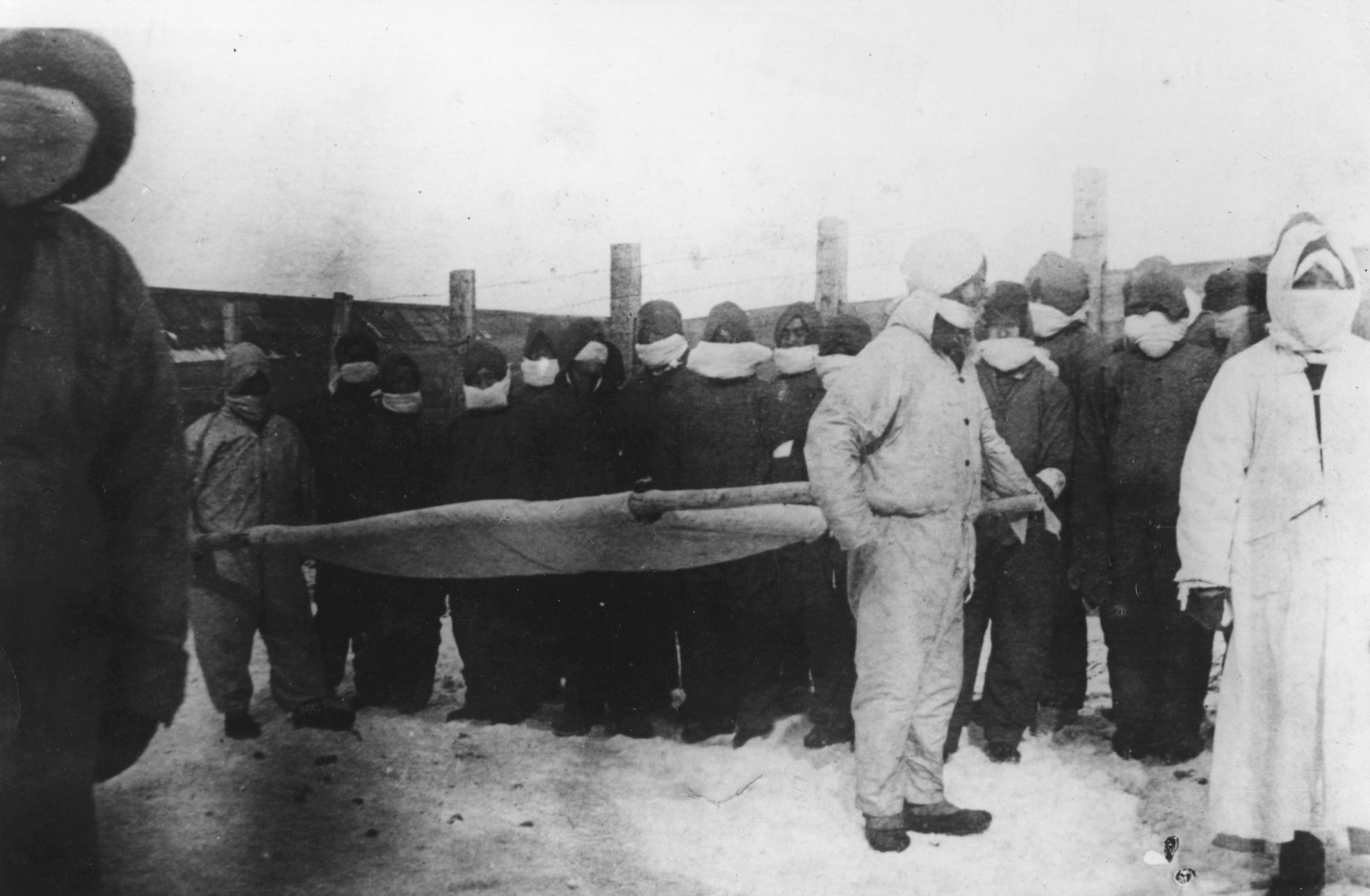 الطاعون الأسود الطاعون