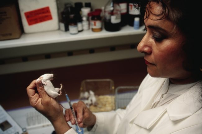 السجن لأستاذ جامعي مصري قتل 60 فأر تجارب انتقاماً من زميلته! المحكمة غرّمته 50 جنيهاً