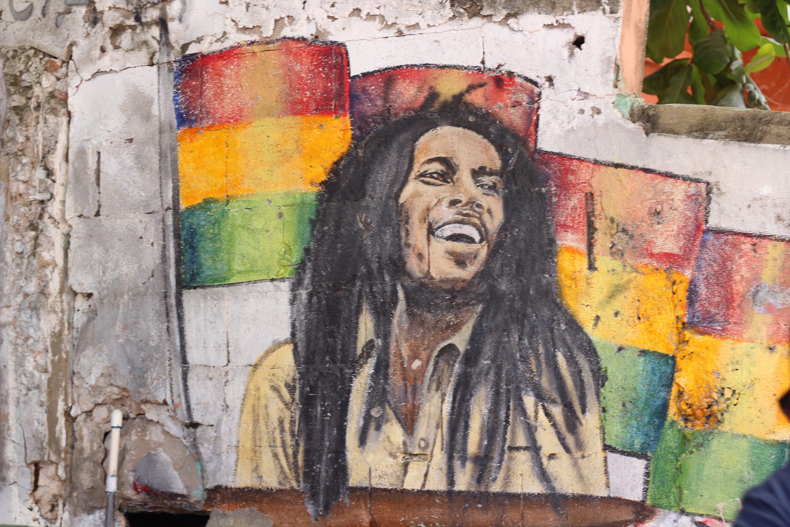 راستافارية