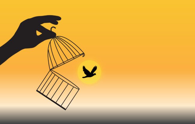 كيف عزّز الإسلام قيمة الحرية وحرّر الأرقاء بشكل منطقي؟