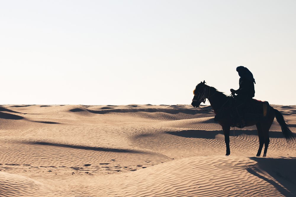 كل يغني على ليلاه \ صورة تعبيرية \ shutterstock