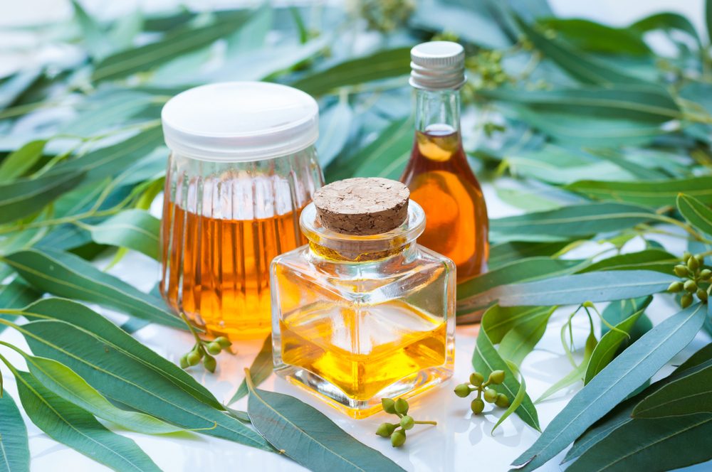 يعالج آلام العضلات والصداع ومشاكل اللثة.. 8 استخدامات صحية لزيت الكافور