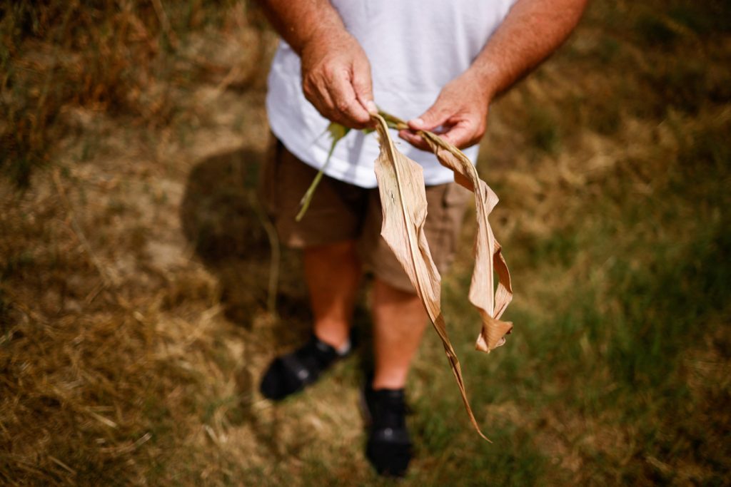 الجفاف إيطاليا