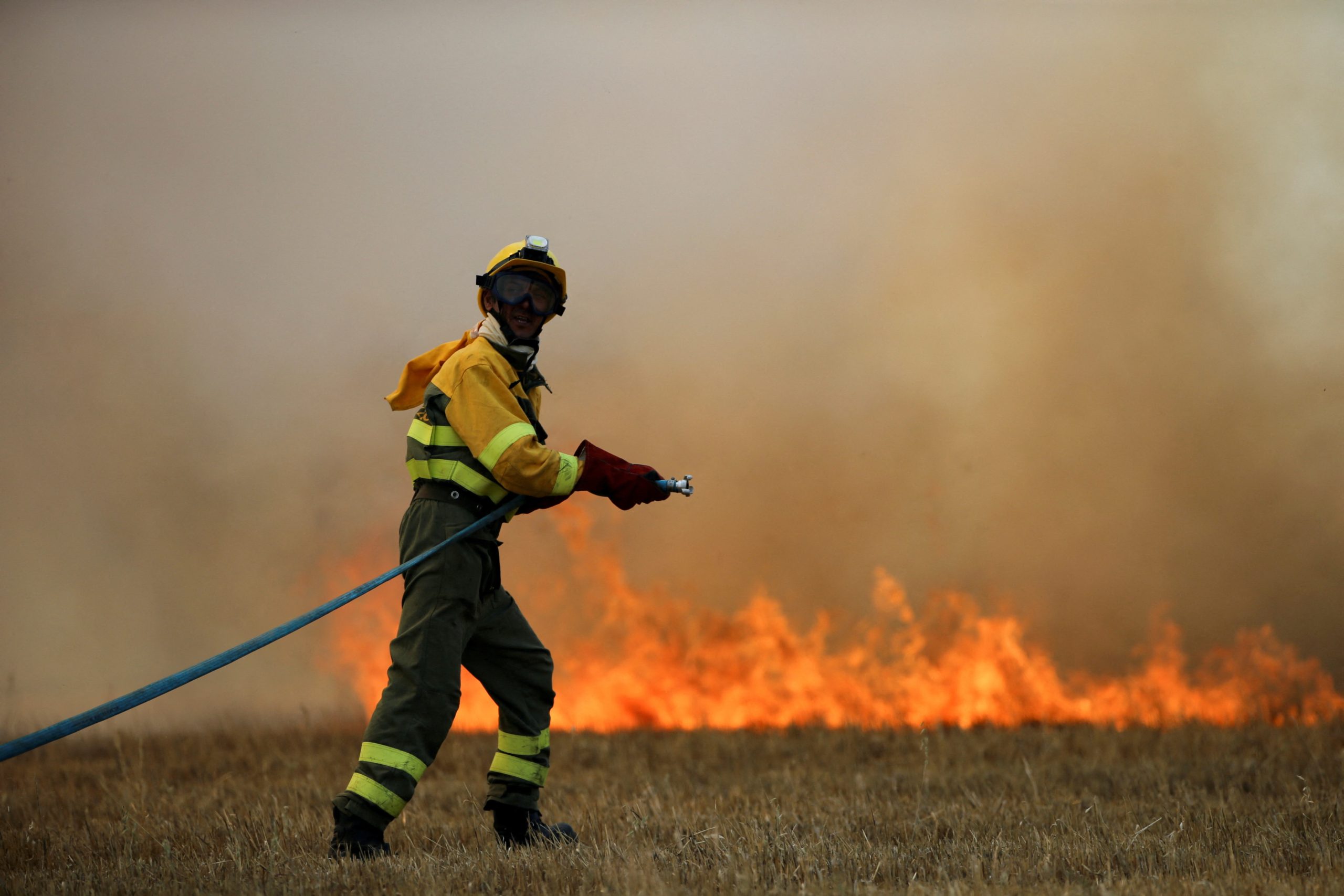 موجة حر “قاتلة” تهدد مياه البحر المتوسط! قد تقتل أعداداً من الكائنات البحرية وتدمر النظم البيئية